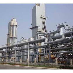 甘肅廠家直銷 批發供應，網絡營銷新篇章